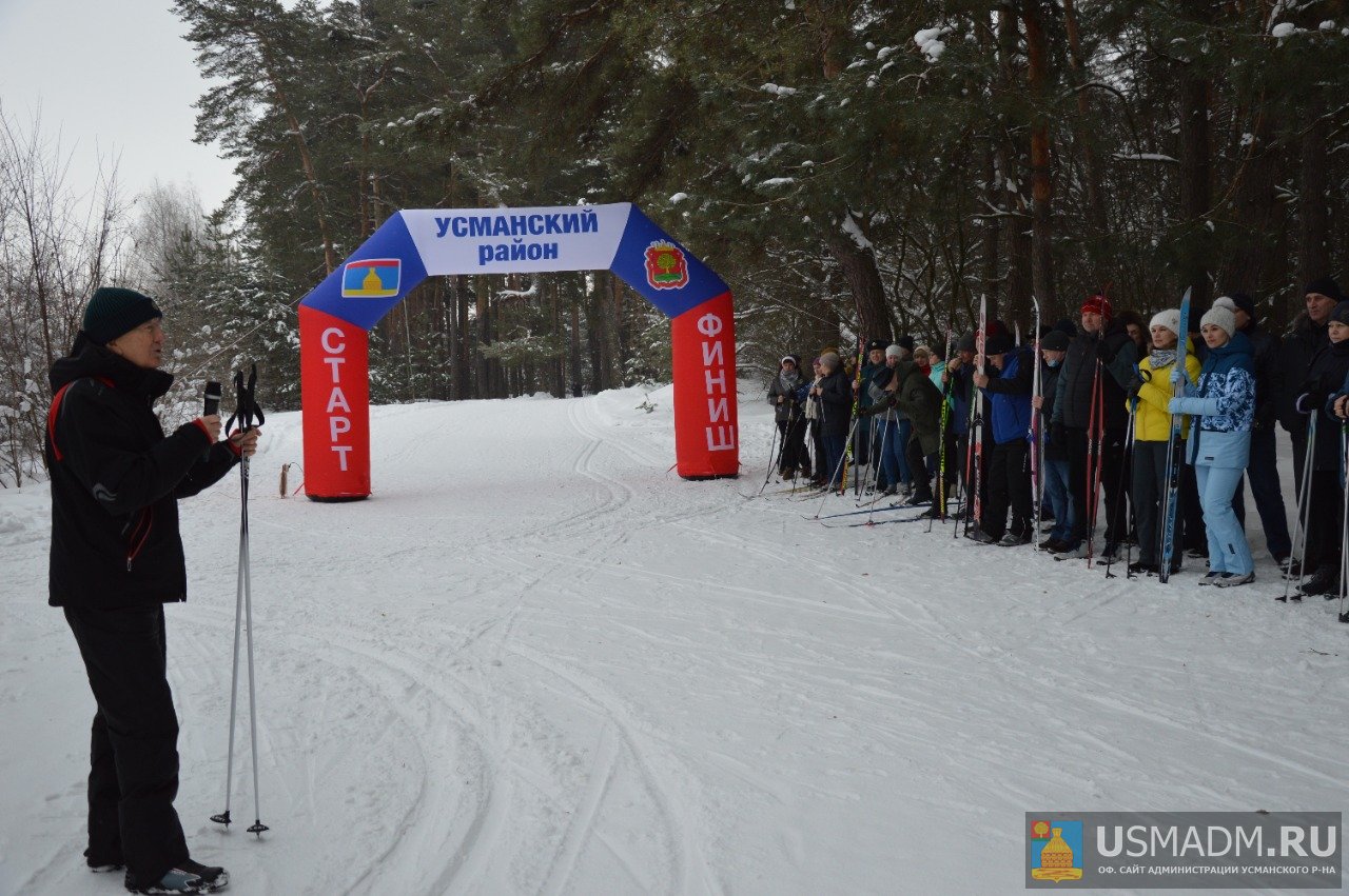 Планёрка на опушке леса