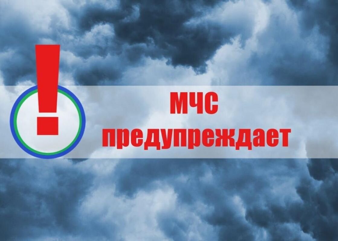ЧРЕЗВЫЧАЙНАЯ ПОЖАРООПАСНОСТЬ ЛЕСОВ ЧРЕЗВЫЧАЙНАЯ ПОЖАРООПАСНОСТЬ ЛЕСОВ